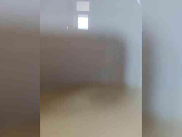 Vi55 webcam