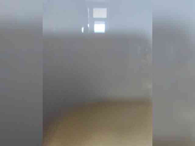 Vi55 webcam