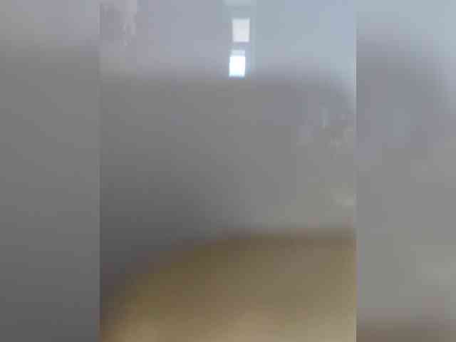 Vi55 webcam