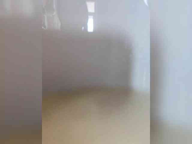 Vi55 webcam
