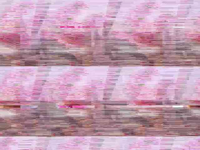 Auroraaaa webcam