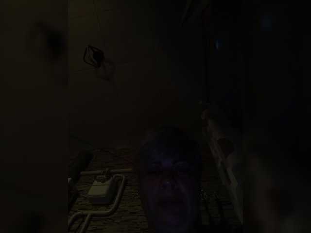 murr-kitty webcam