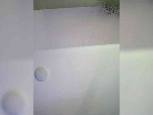 murr-kitty webcam
