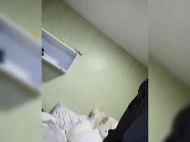 murr-kitty webcam