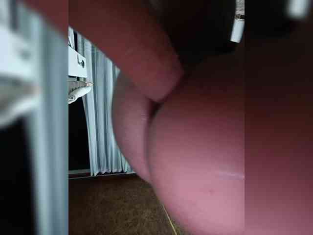 murr-kitty webcam