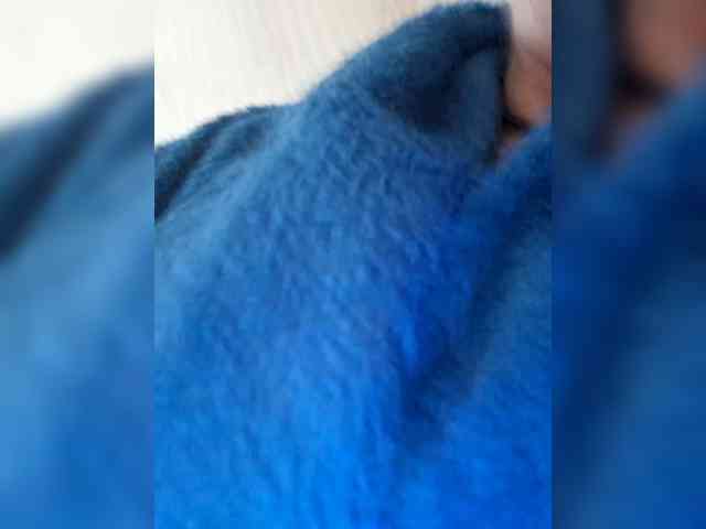 murr-kitty webcam