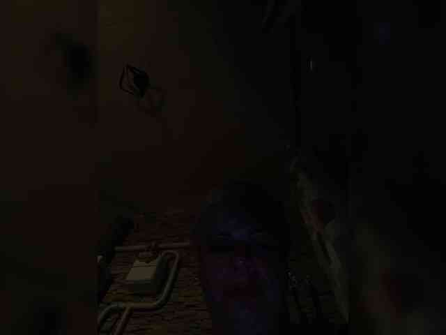 murr-kitty webcam