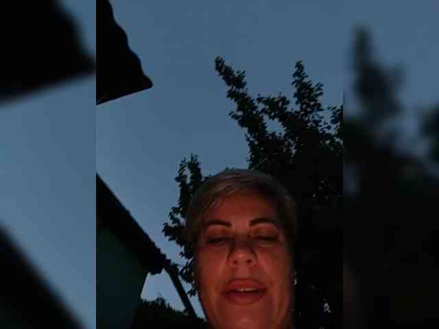 murr-kitty webcam