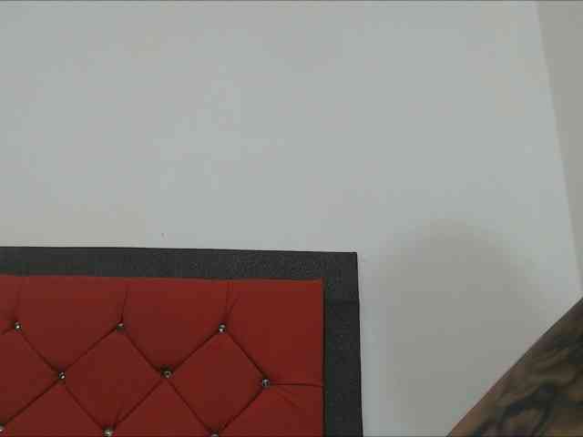 antonelabeauty webcam