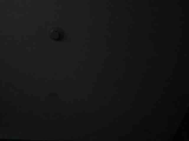 LaylaChisholm webcam