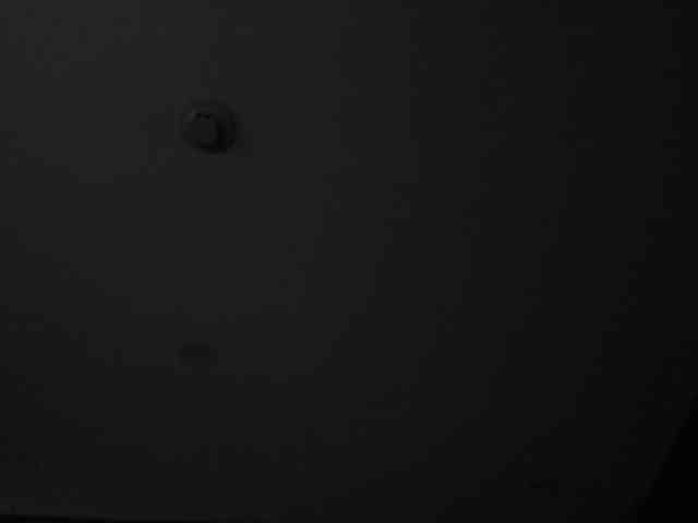 LaylaChisholm webcam