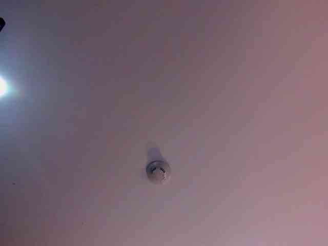 LaylaChisholm webcam
