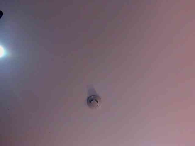 LaylaChisholm webcam