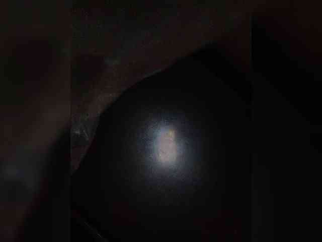 thundercatxx webcam