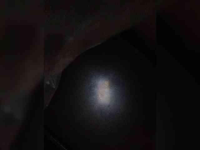 thundercatxx webcam
