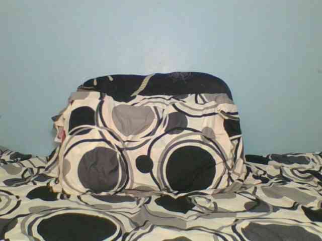 Silentqueen93 webcam