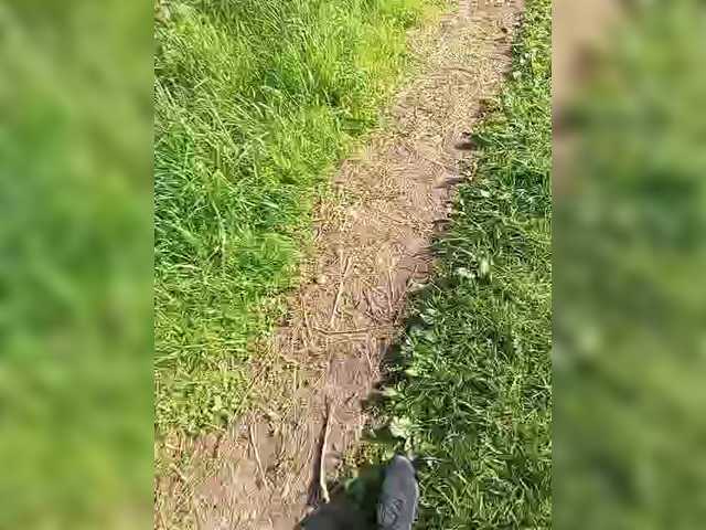 FishKilla