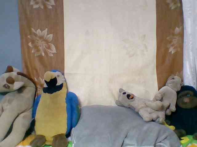 Honoratte webcam