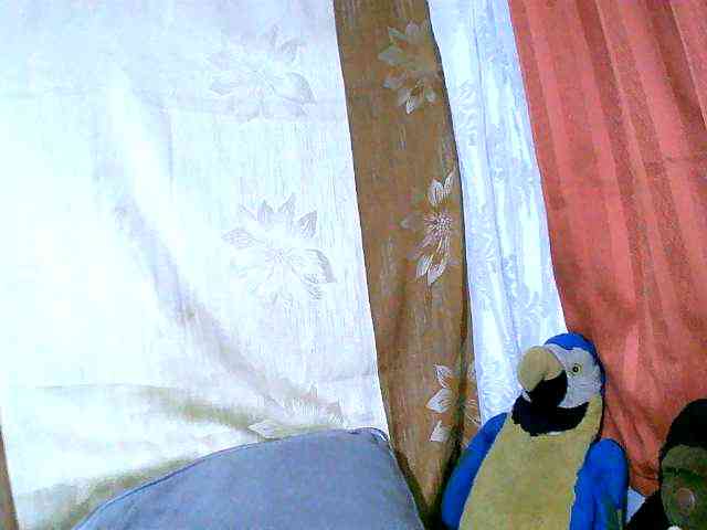 Honoratte webcam