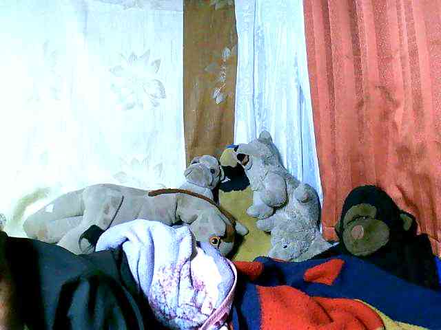 Honoratte webcam