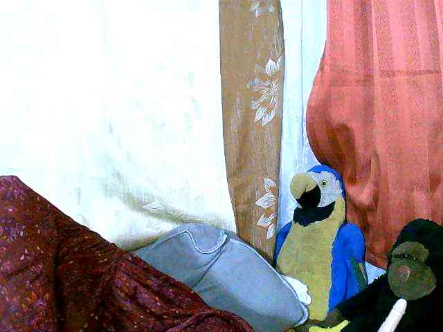 Honoratte webcam