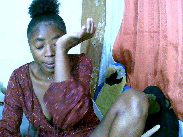 Honoratte webcam