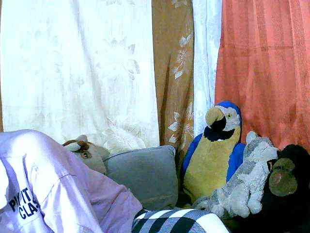 Honoratte webcam