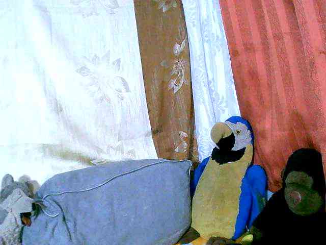 Honoratte webcam