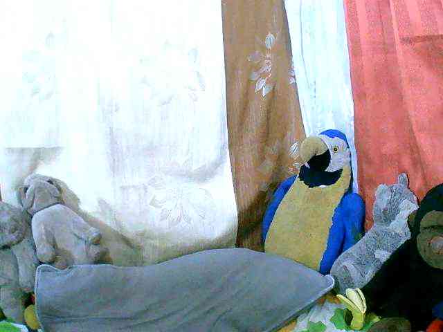 Honoratte webcam