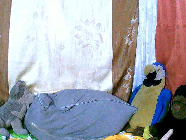 Honoratte webcam