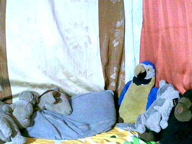 Honoratte webcam
