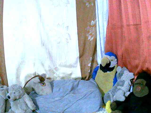 Honoratte webcam