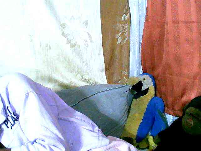 Honoratte webcam