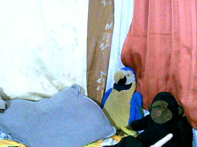 Honoratte webcam