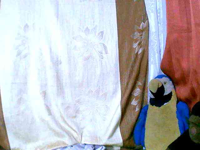Honoratte webcam