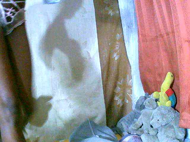 Honoratte webcam