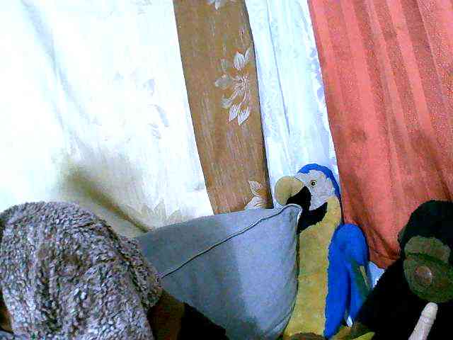 Honoratte webcam