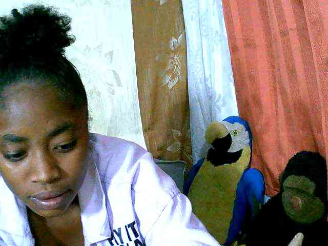 Honoratte webcam