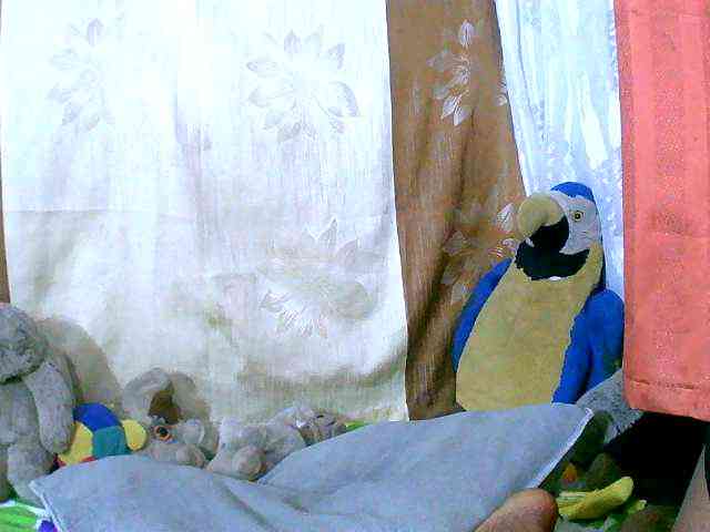 Honoratte webcam