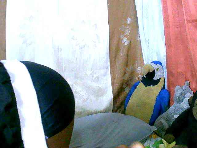 Honoratte webcam