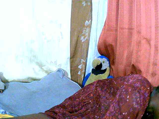 Honoratte webcam