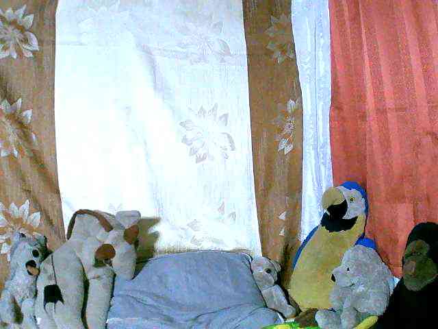 Honoratte webcam