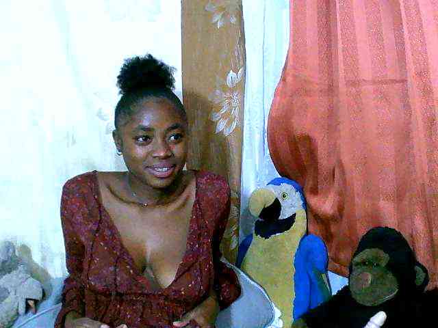 Honoratte webcam