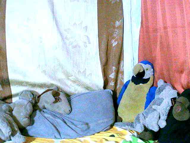 Honoratte webcam