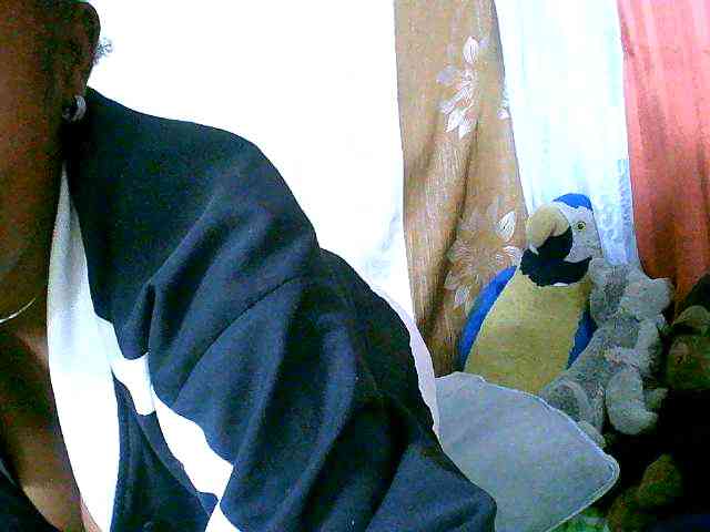 Honoratte webcam