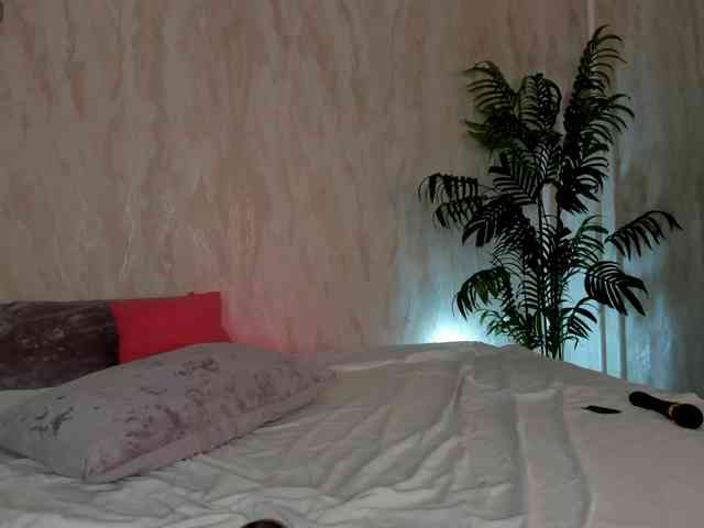 Vivi-ene webcam