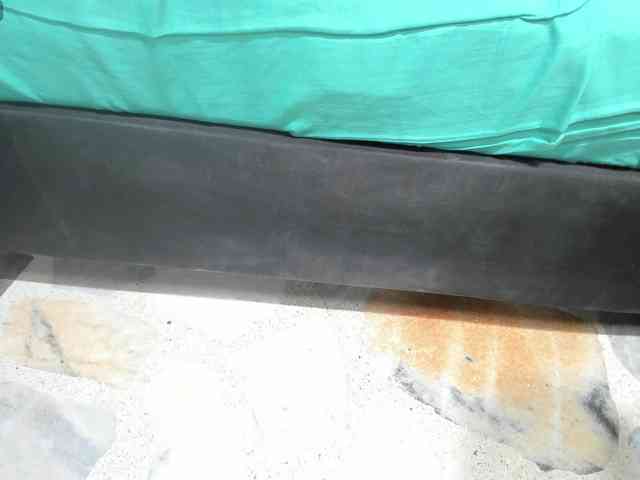 bellagatica webcam