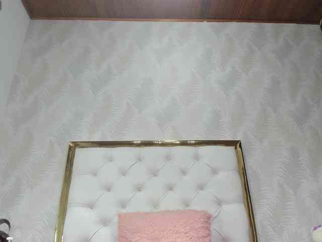 bellagatica webcam