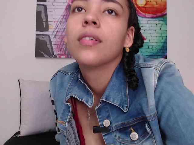bleer webcam