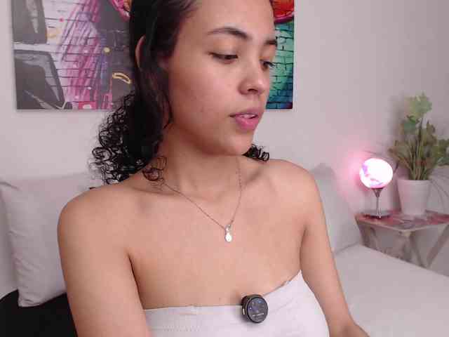 bleer webcam